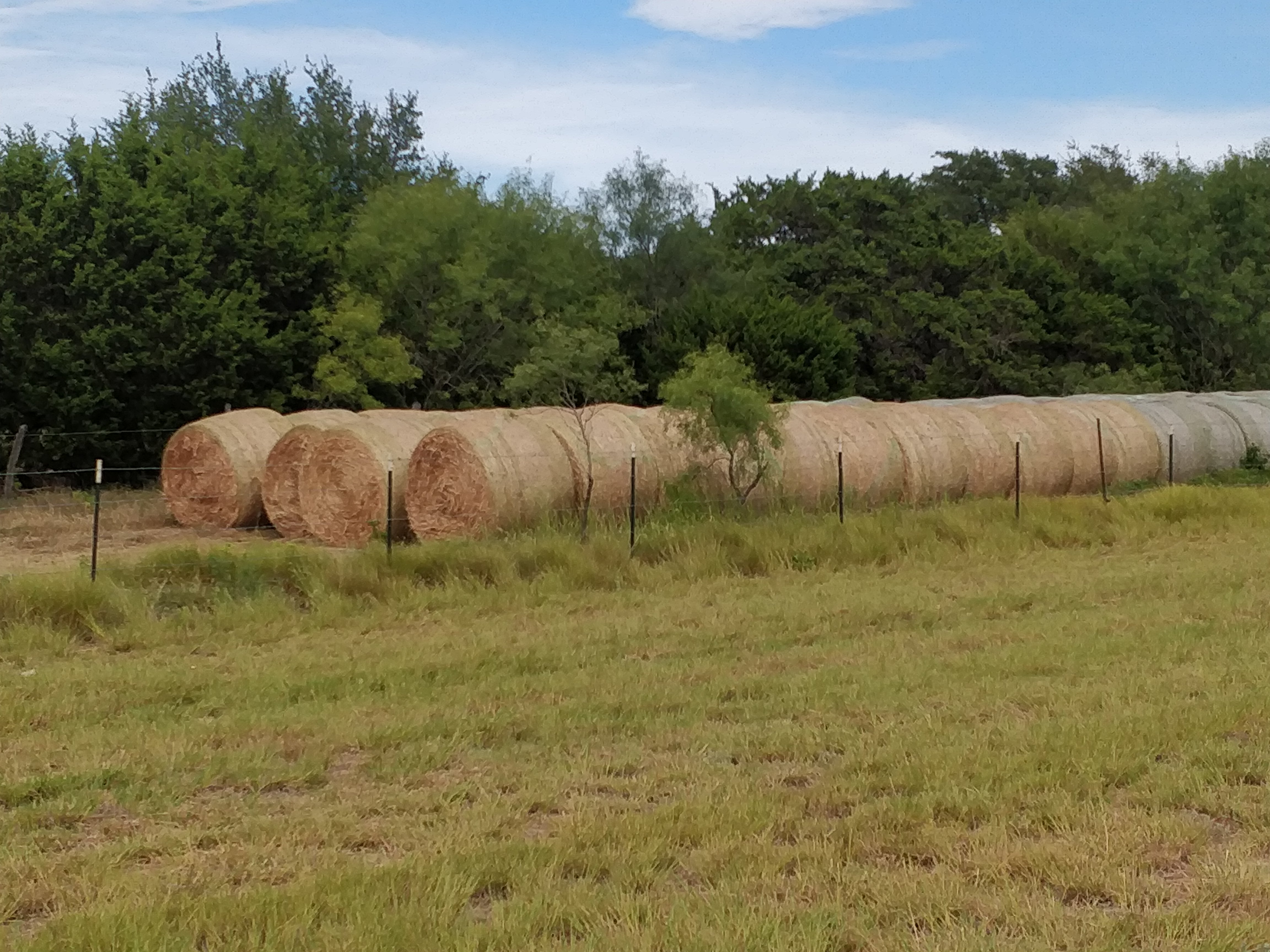 Hay in a side field (view 1)
